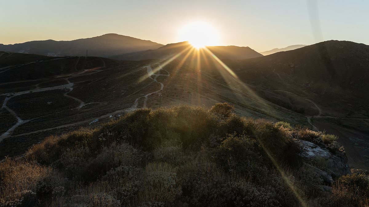 Ancient Oak Shrub in California Faces Extinction Threat from Proposed Housing Development in Jurupa Valley